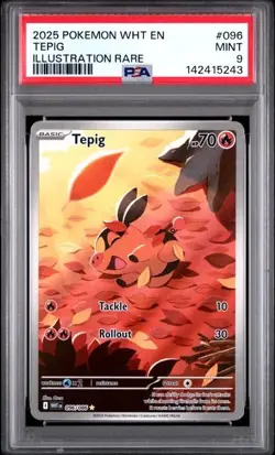 Pokemon TCG - Tepig 096/086 - Illustration Rare White Flare English - PSA 9 - Image 1