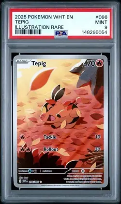 Pokemon TCG - Tepig 096/086 - Illustration Rare White Flare English - PSA 9 - Image 3