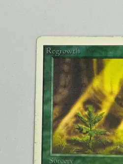 Regrowth - Unlimited Edition 1993 - MTG card [MP] - Image 2