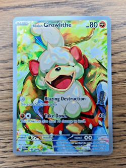 Hisuian Growlithe Illustration Rare Twilight Masquerade 181/167 NM Pokemon TCG - Image 1