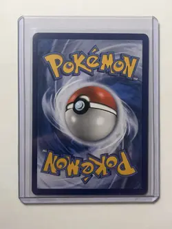 Charizard & Braixen GX SM230 Holo Pokemon Black star Promo Pokemon TCG - Image 2