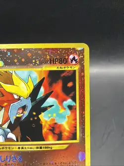 Entei Reverse Holo - Pokemon Japanese 1999 Premium File #244 MINT - Image 3