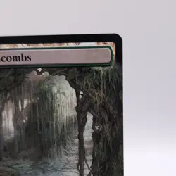 Verdant Catacombs (Extended Art) Modern Horizons 2 Regular - Image 3