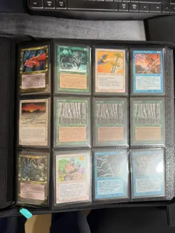 MTG Ice Age Binder Lot – 450+ Cards, Snow Lands, Vintage Magic Collection – NR - Image 1