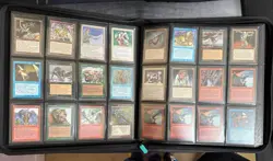 MTG Ice Age Binder Lot – 450+ Cards, Snow Lands, Vintage Magic Collection – NR - Image 4