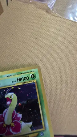 Pokemon TCG Meganium Neo Genesis Holo Card No.154 Japanese Edition - Image 4
