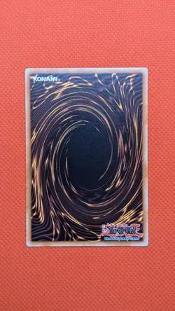 Yugioh D.D. Warrior Lady SD5-EN011 1st Edition NM - Image 2