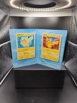 Pokemon TCG 2010 Pikachu World Collection Pamphlet Insert. - Image 3