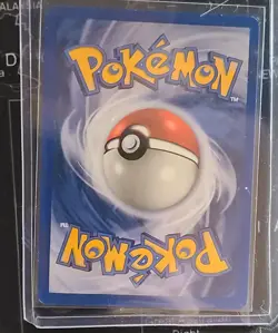 Pokemon Teddiursa Skyridge 109/144 Common e-Reader Vintage 2003 NM Near Mint - Image 2