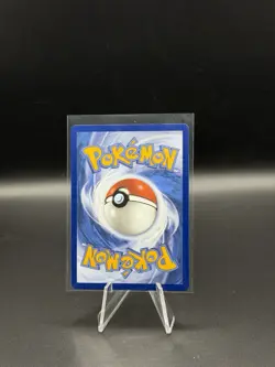 Pokemon TCG Turtwig 040 First Partner Illustration Black Star Promo NM - Image 2