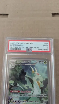 2025 POKEMON BLK EN-BLACK BOLT SPECIAL ILLUSTRATION RARE #164 SERPERIOR EX PSA 9 - Image 2