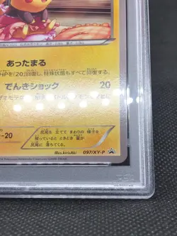 Pokemon Japanese Promo card 2014 Uniqlo Kids Warm Pikachu 097/XY-P PSA 6 - Image 3