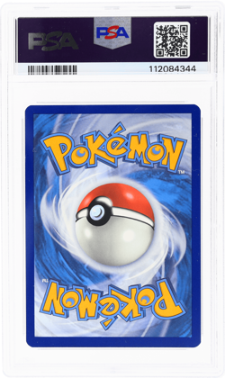 2024 Pokemon Scarlet and Violet Stellar Crown Squirtle Illustration Rare PSA 9 - Image 2
