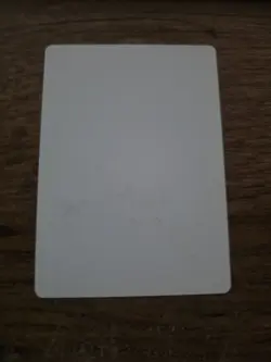 Centaur Battlemaster Artist Proof SIGNED By Kev Walker Mtg Magic The Gathering - Image 2