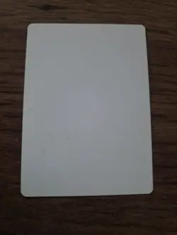 Priest Of Urabrask Artist Proof SIGNED By Kev Walker Magic The Gathering - Image 2