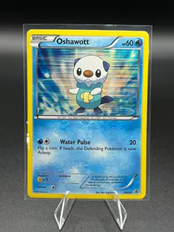 Oshawott BW03 Black & White Rare Holo Promo Pokemon Card - Image 1