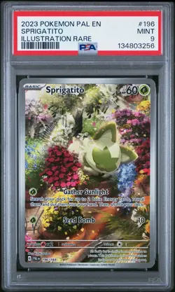 2023 POKEMON PAL EN-PALDEA EVOLVED ILLUSTRATION RARE #196 SPRIGATITO PSA 9 - Image 1