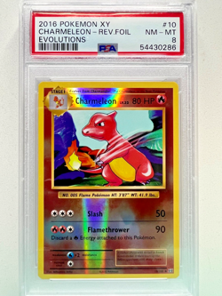 Pokemon - 2016 XY Evolutions Chameleon - Reverse Foil #10 - PSA 8 - NM-MT - Image 1