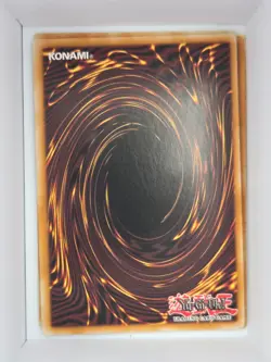 Amazoness Queen [1st Edition] DREV-EN032 YuGiOh Duelist Revolution 2010 - Image 2