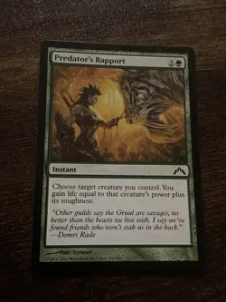 Predator's Rapport [Gatecrash] Magic MTG D8732* - Image 1