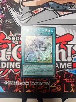 WISHES FOR EYES OF BLUE SDWD-EN042 Secret Rare 1st Ed NM Yugioh - Image 1