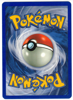 Primeape 18/18 Southern Islands Promo Regular Rare Vintage Pokemon Card - Image 2