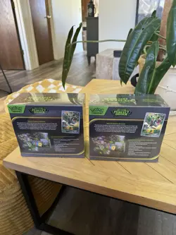 x2 Pokemon TCG Perfect Order Elite Trainer Box Sealed - Image 4