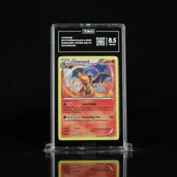 Charizard 20/149 HOLO Rare Black & White Boundaries Crossed 2012 Pokemon Card - Image 1