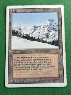 **Taiga** ~Revised~ MTG: Magic the Gathering Heavy Play (HP) - Image 1