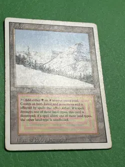 **Taiga** ~Revised~ MTG: Magic the Gathering Heavy Play (HP) - Image 3