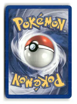 Furret 35/111 Uncommon Neo Genesis Pokemon Moderately Played - Image 2