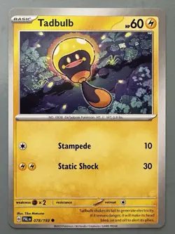 Lightning Type Pokemon TCG Tadbulb Lot 4 Regular & Foil Common Cards PAL OBF ASC - Image 2