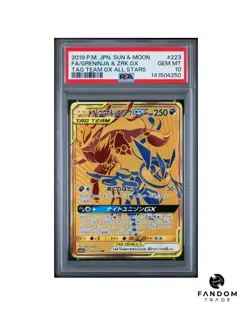 PSA 10 GEM MT Greninja & Zoroark GX Tag Team Ultra Rare Gold 223/173 Pokemon - Image 1