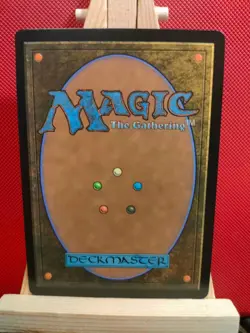 Yavimaya Coast - Modern Horizons 3 Commander - NM - Rare - MTG - Image 2