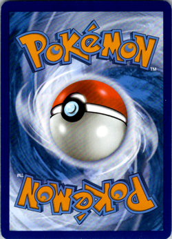 Squawkabilly ex 075/091 SV: Paldean Fates Holo Pokemon NM - Image 2