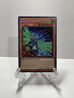 Radiant Typhoon Krosea - DOOD-EN015 - LP Secret Rare - 1st Edition Yugioh! - Image 1
