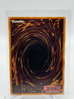 | Yugioh Amazoness Fighter LCJW-EN088 1st Edition Common NM 🔥 | - Image 2