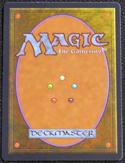 Final Fortune - MtG Magic the Gathering - Mirage *LP* - Image 2