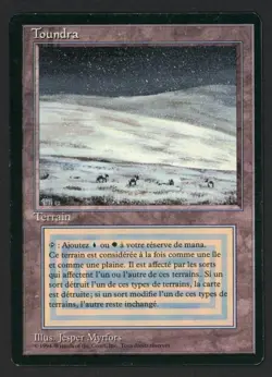 ***FBB French Tundra*** MTG Revised Magic Kid Icarus - Image 1