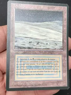 ***FBB French Tundra*** MTG Revised Magic Kid Icarus - Image 3