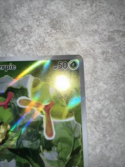 Caterpie 172/165 Illustration Rare Pokemon TCG Scarlet & Violet 151 NM - Image 3