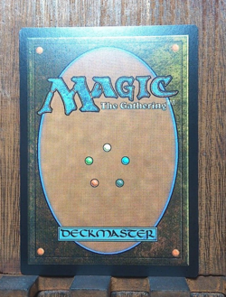 MTG😍 Poison-Tip Archer (Extended Art FOIL) Secret Lair Drop Series NM😘 - Image 3