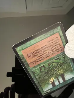 Magic the Gathering MTG Alpha KUDZU HP (Beta Bob) - Image 3