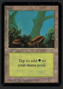 ***Alpha Forest Rocks (Corner Ding)*** MTG Alpha Magic Kid Icarus - Image 1