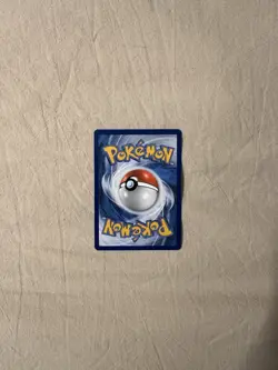 Eevee + Pikachu Pokemon Together - Stamped Exclusive Pokemon Center Promos - Image 5
