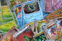 900+ Pokemon TCG Card Bulk Lot - Temporal Forces / Wild Force - Image 4