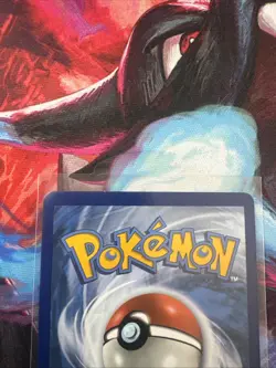 Pokemon TCG Eevee & Snorlax GX Tag Team SM169 Black Star Promo Sun & Moon NM - Image 5