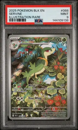 2025 POKEMON BLK EN-BLACK BOLT ILLUSTRATION RARE #088 SERVINE PSA 9 - Image 1