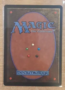 1995 MAGIC THE GATHERING ICE AGE BURNT OFFERING TD25 - Image 2