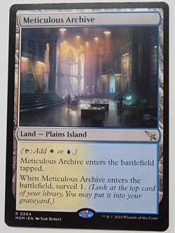 Meticulous Archive - Murders at Karlov Manor (MKM) MTG Near Mint - Image 1